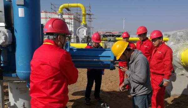 PetroChina Beijing Natural Gas Pipeline Co., Ltd. — Passive fiber laser leakage monitoring system